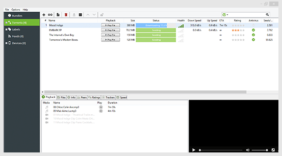 downloading torrents - The How To Guide